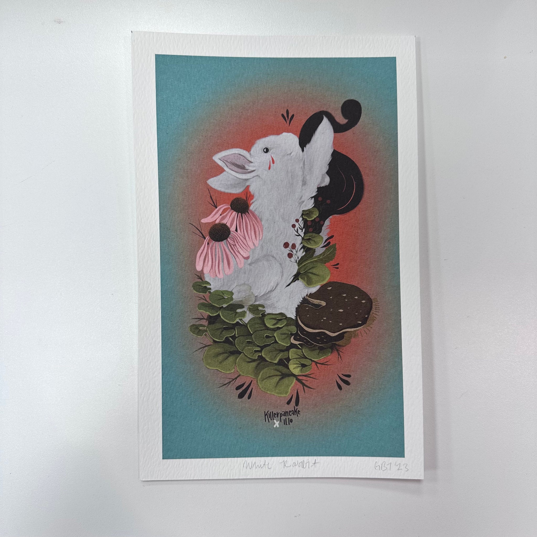 IMG_7576_2048x.jpg?v=1698874847